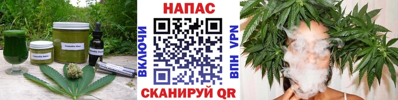 где купить наркотик  Благодарный  Еда ТГК марихуана 