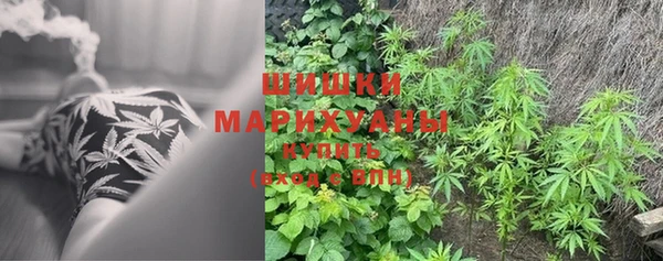 ГАЛЛЮЦИНОГЕННЫЕ ГРИБЫ Сатка