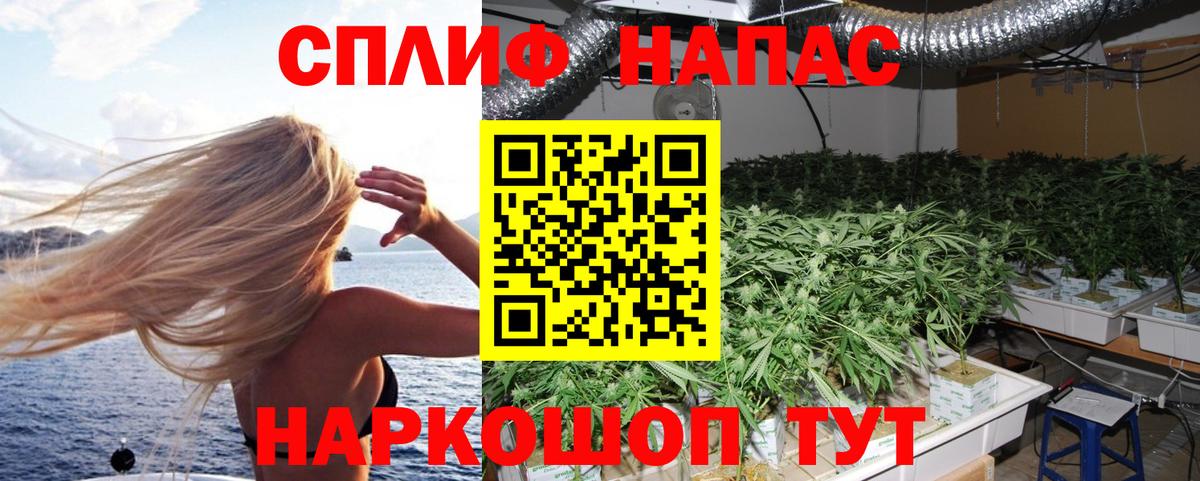 Благодарный  Шишки марихуана тримм  Вход с VPN  Канабис семена  Бошки марихуана VHQ 